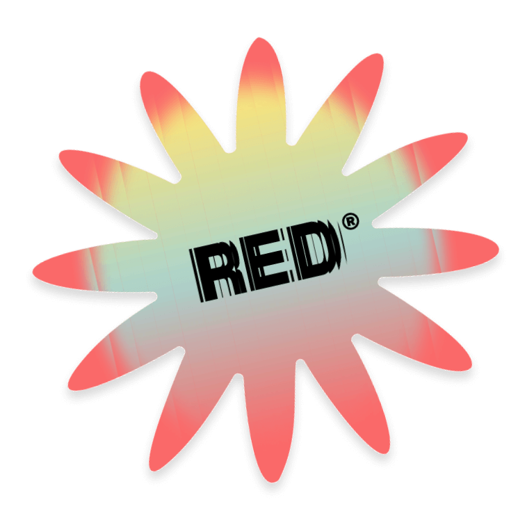 RED HR — recruitment for IT projects